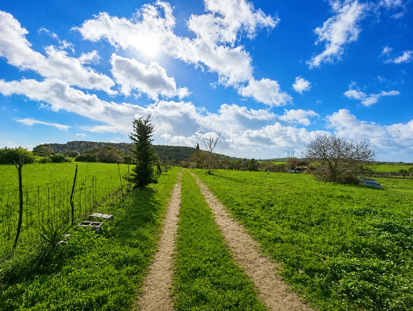 Camino de acceso a la finca